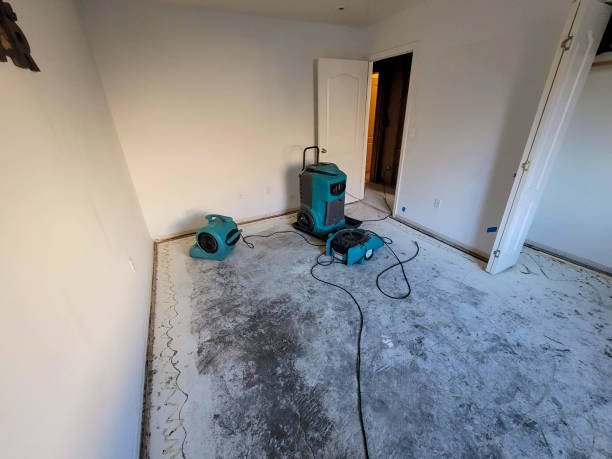  Detroit, MI Water damage restoration Pros