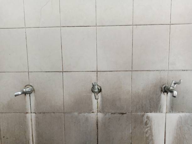 Best Water damage restoration process  in Detroit, MI